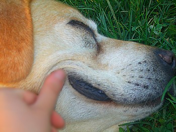 =)